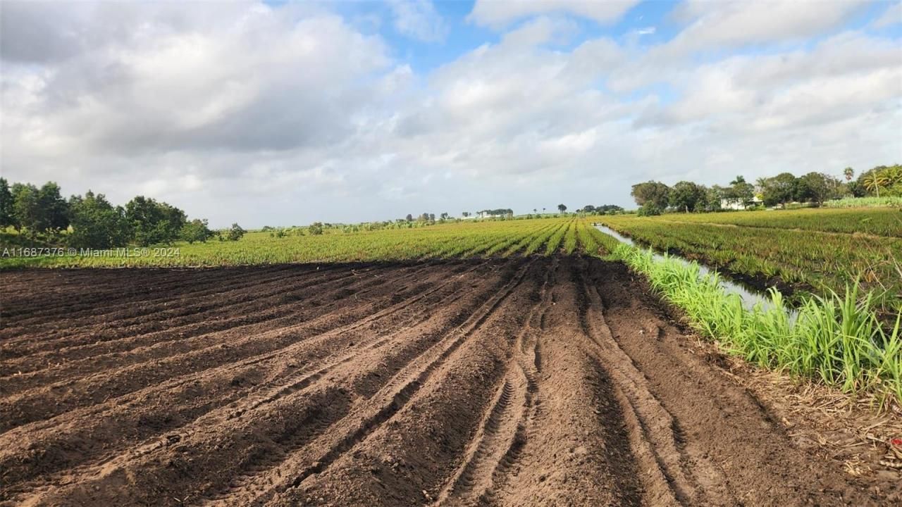 47430 State Rd #80, Palm Beach, FL 33440 Photo