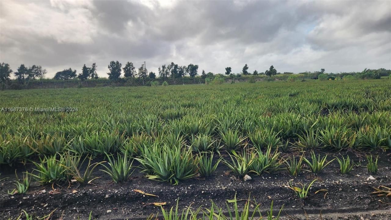 47430 State Rd #80, Palm Beach, FL 33440 Photo