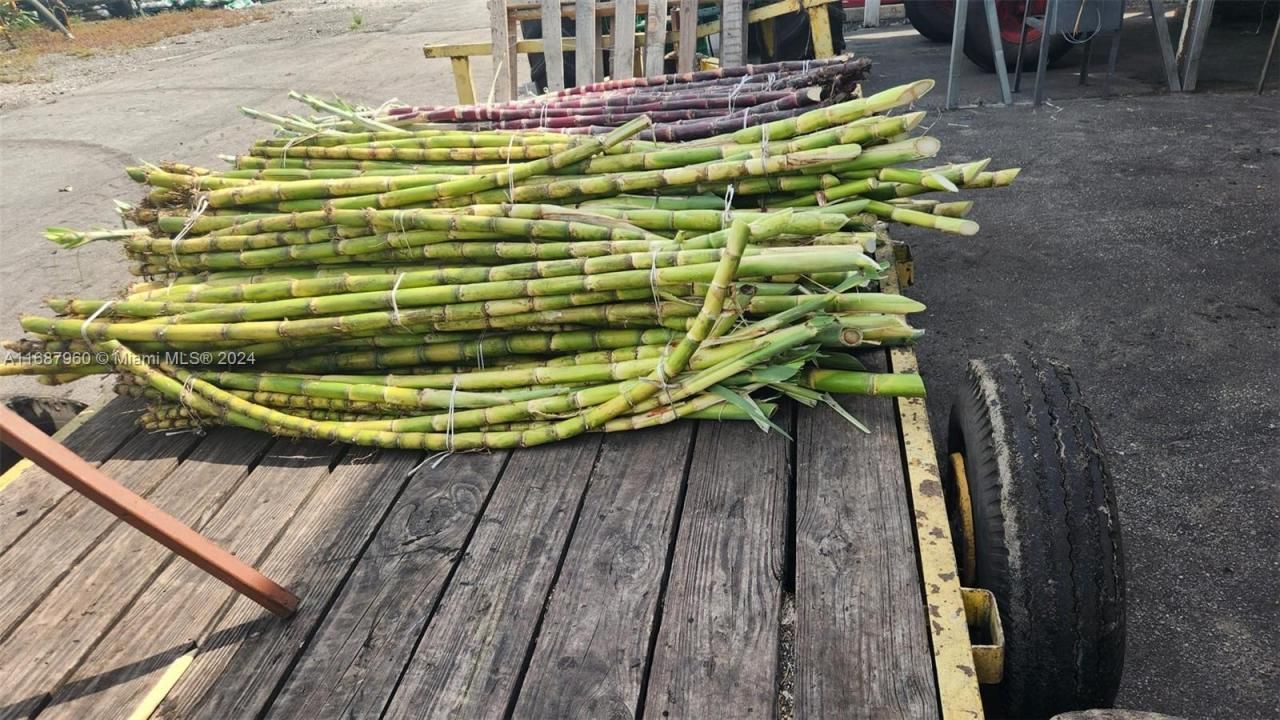 80 State Rd Miami Canal Rd, Clewiston, FL 33440 Photo