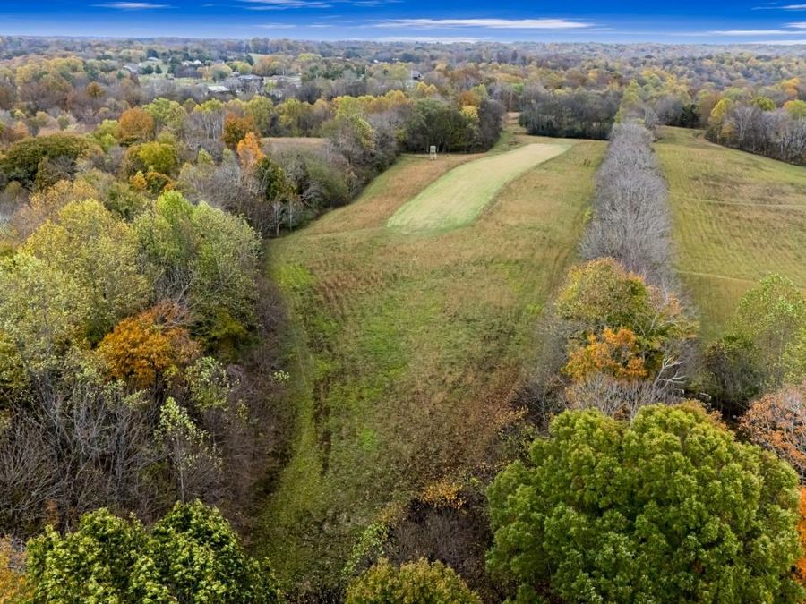 Property Image 19