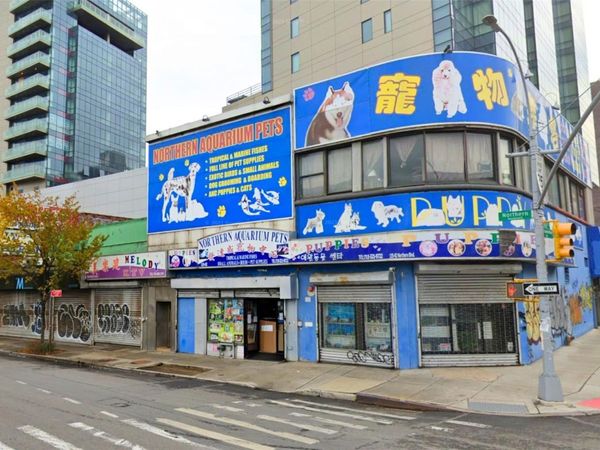 135-02-08 Northern Blvd, Flushing, NY 11354