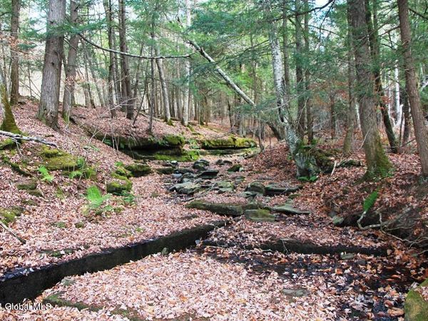 L2 Lawton Hollow Road, Berne, NY 12023