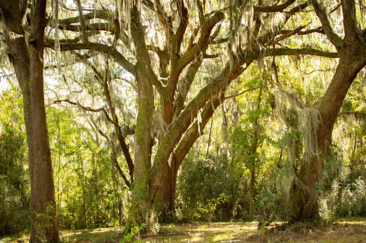 0 Point Comfort Photo 14