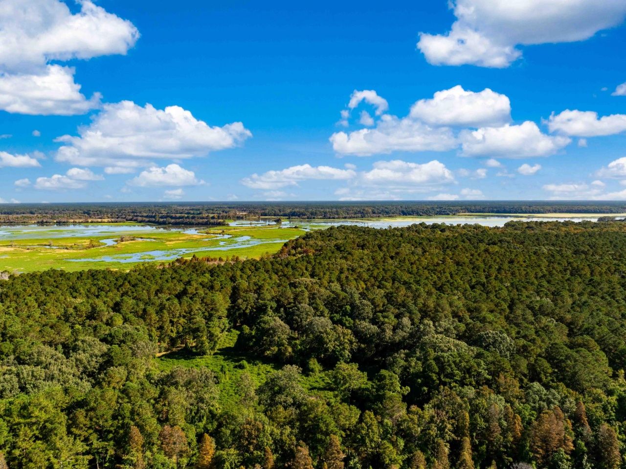 0 Point Comfort Photo 15