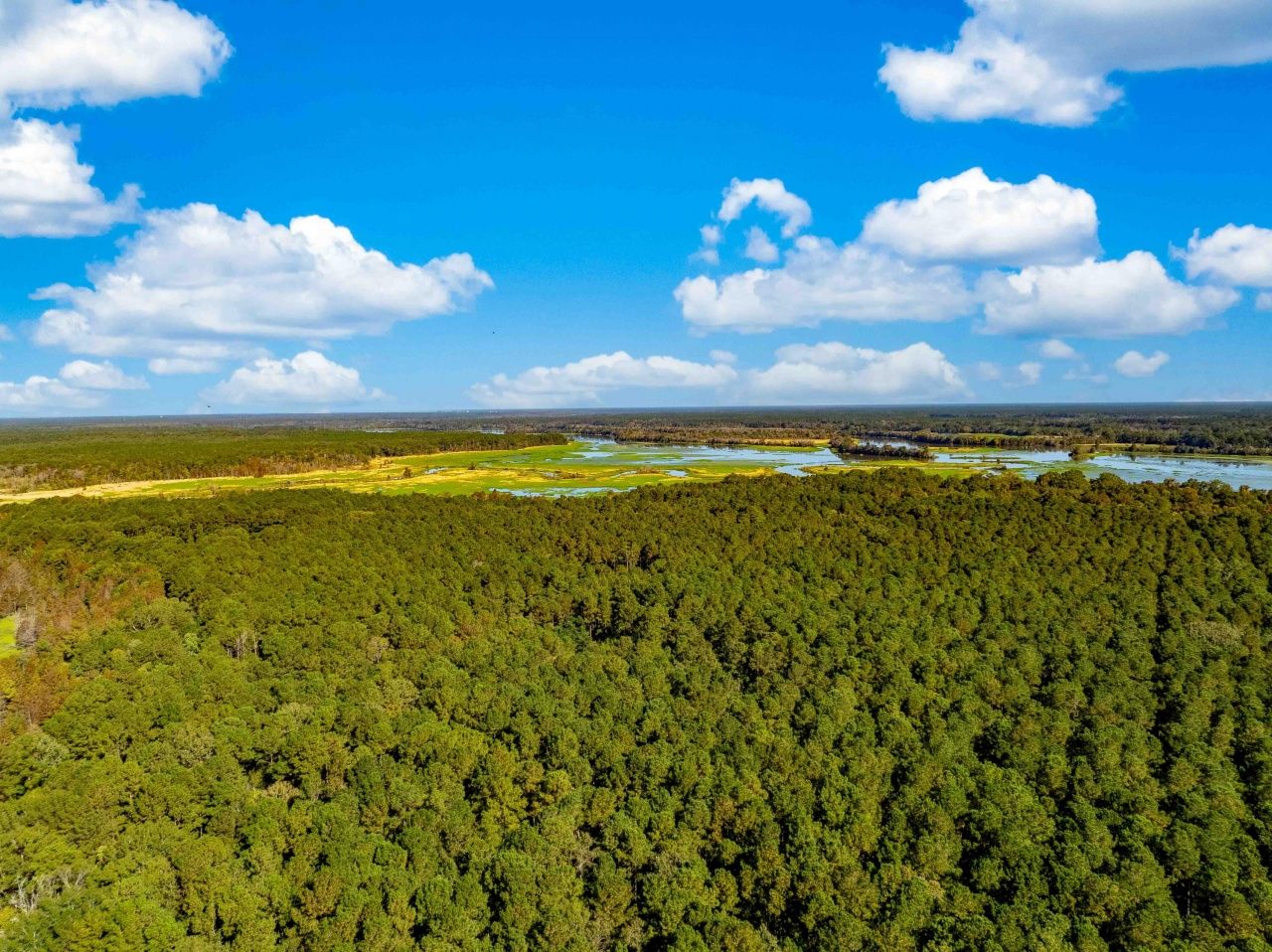 0 Point Comfort Photo 16