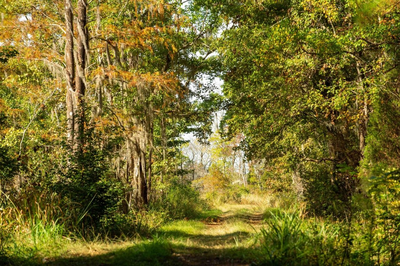 0 Point Comfort Photo 18