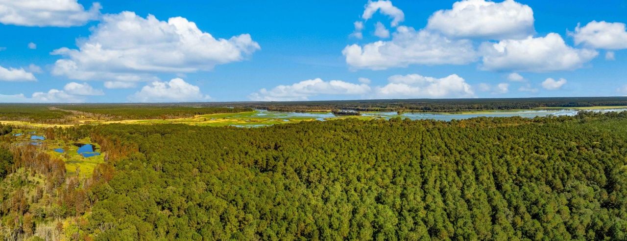 0 Point Comfort Photo 19