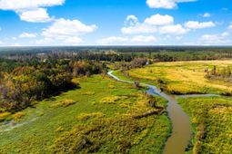 0 Point Comfort photo 4