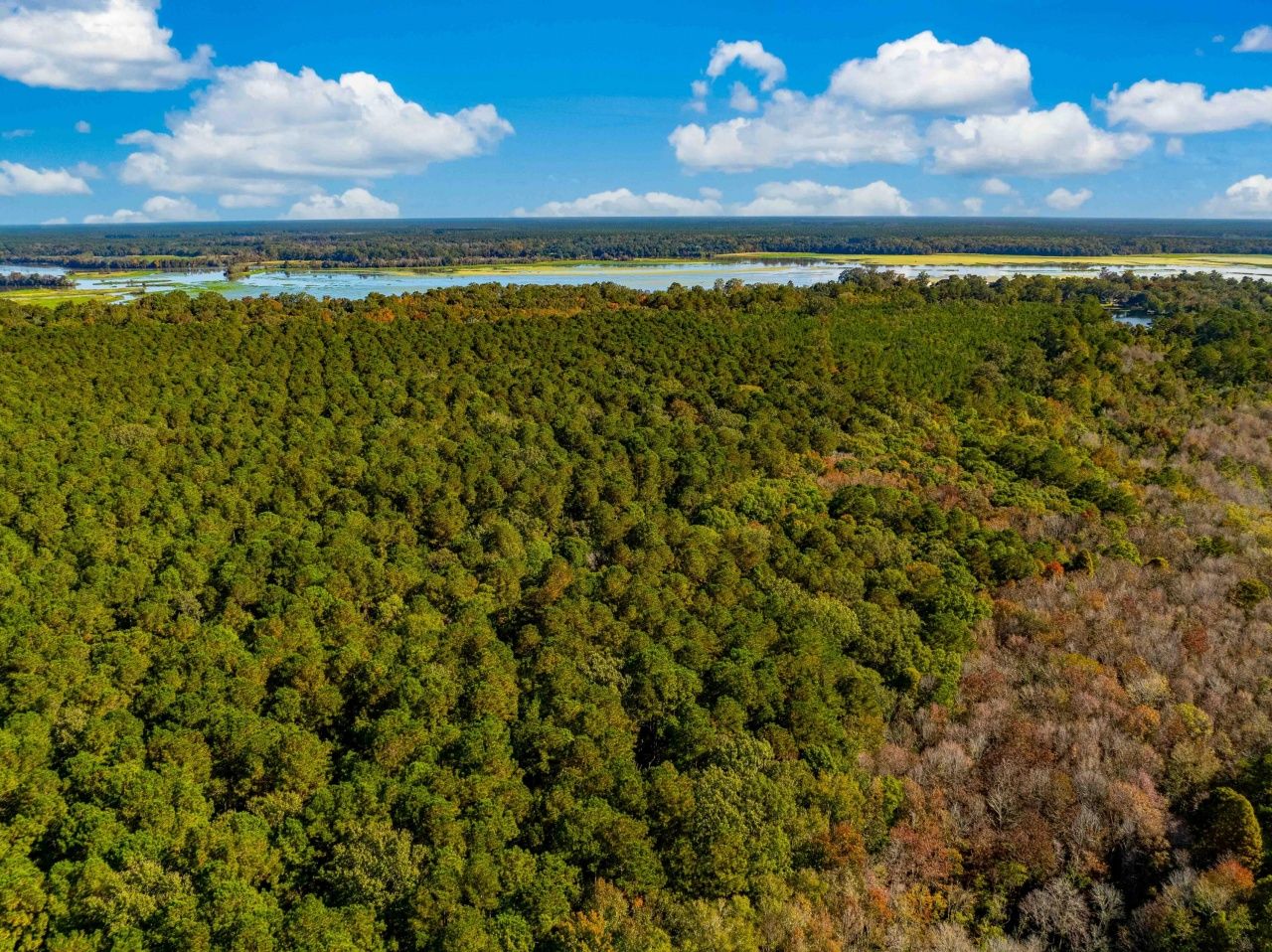 0 Point Comfort Photo 20