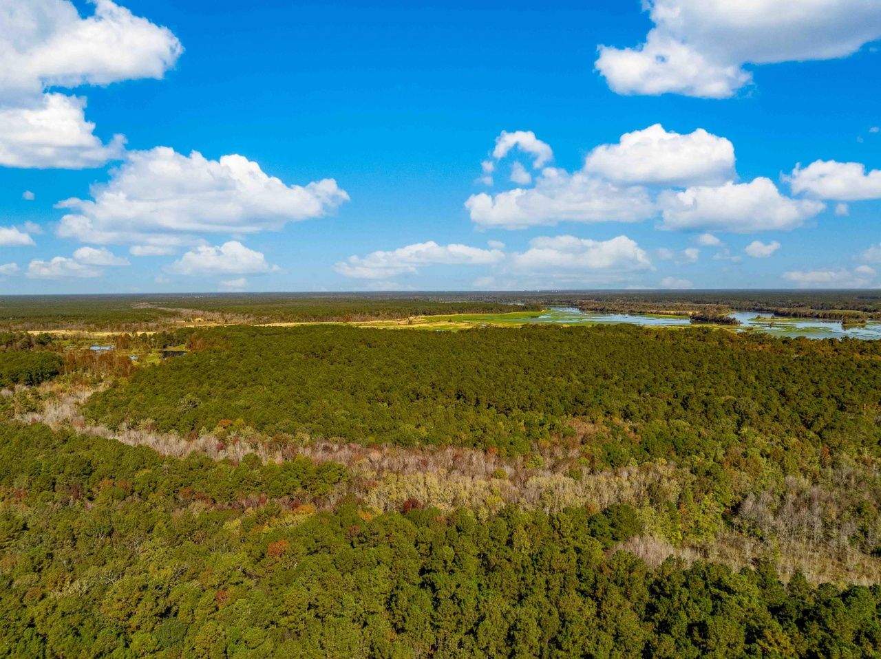 0 Point Comfort Photo 22