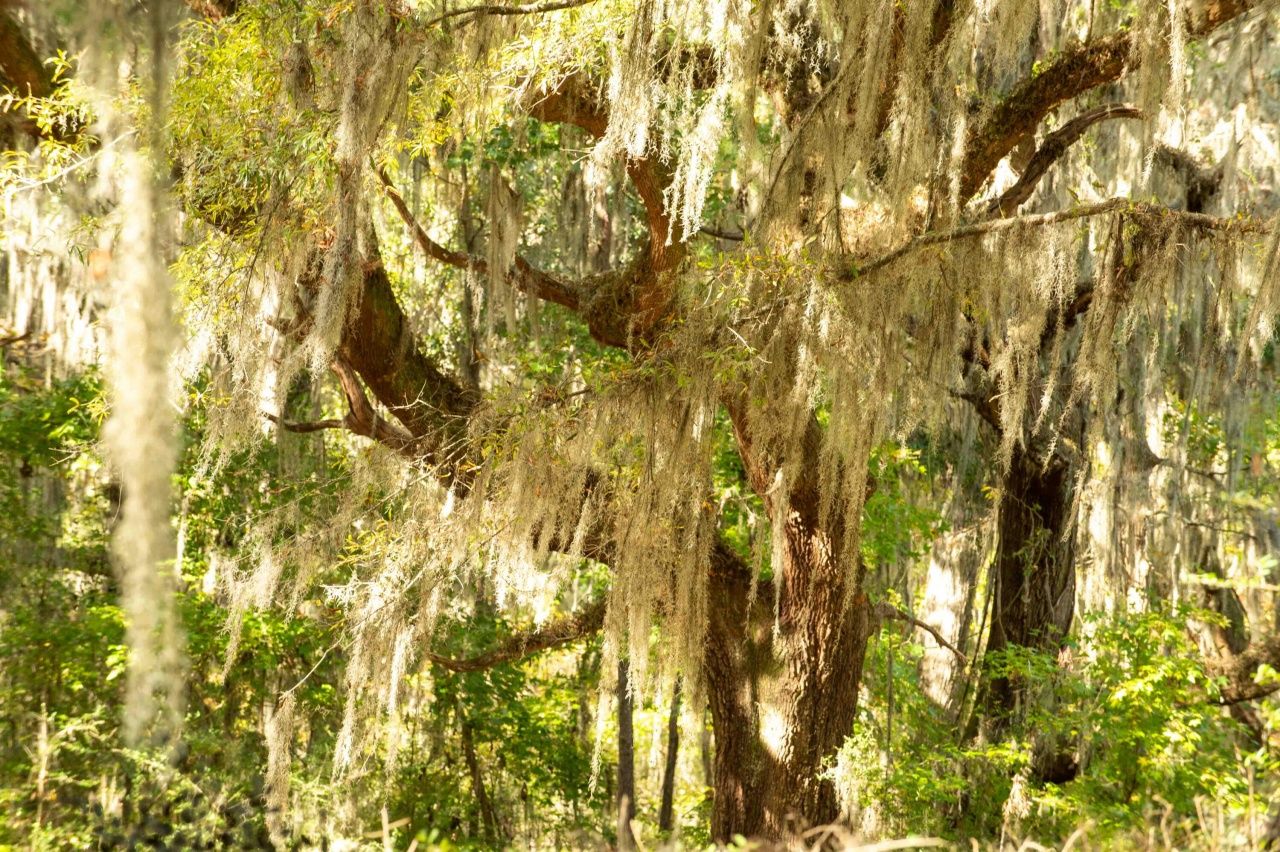 0 Point Comfort Photo 23