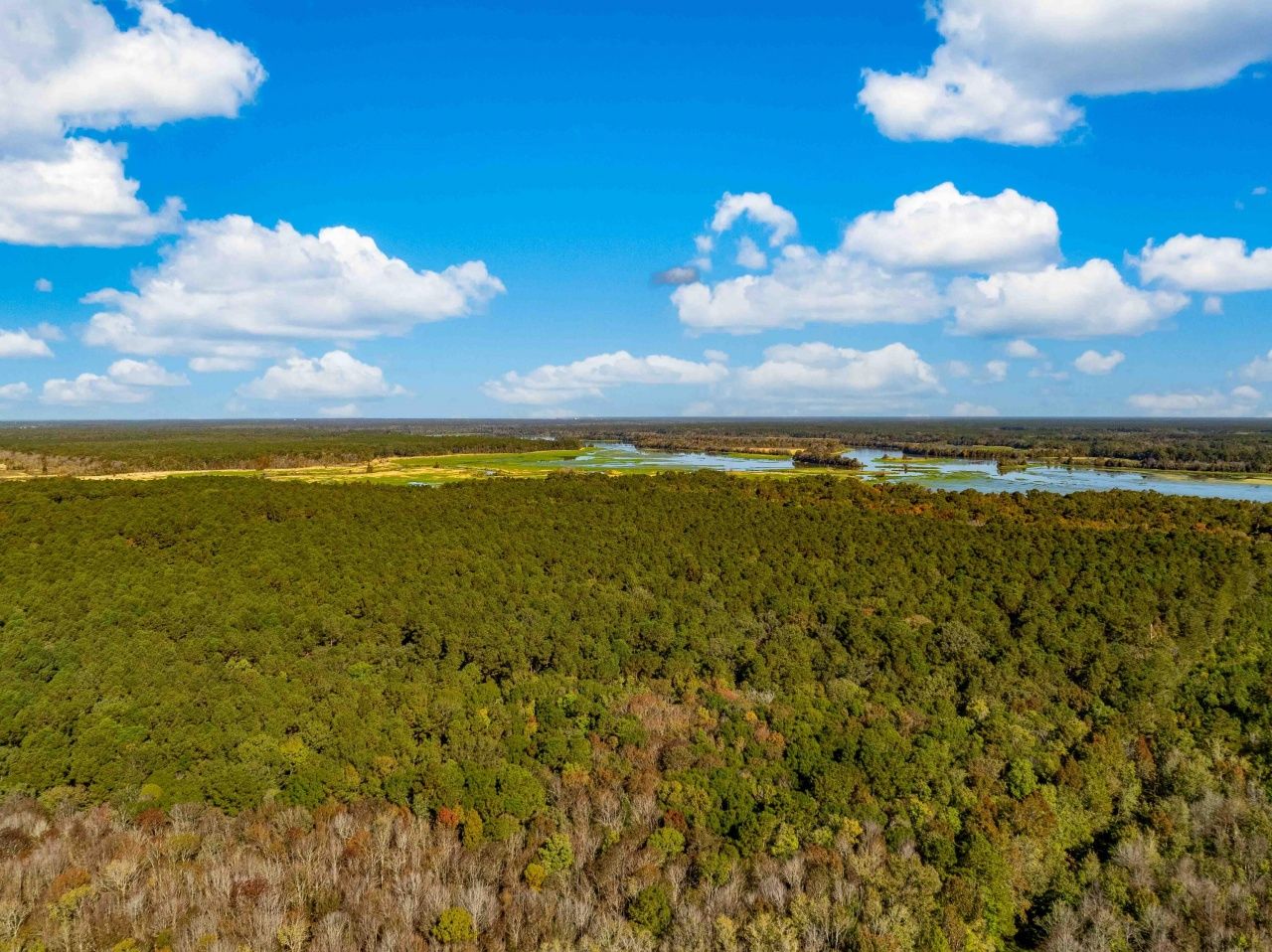 0 Point Comfort Photo 24