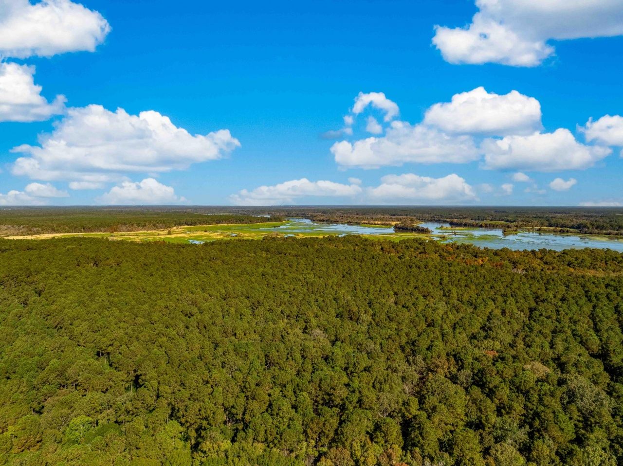 0 Point Comfort Photo 25