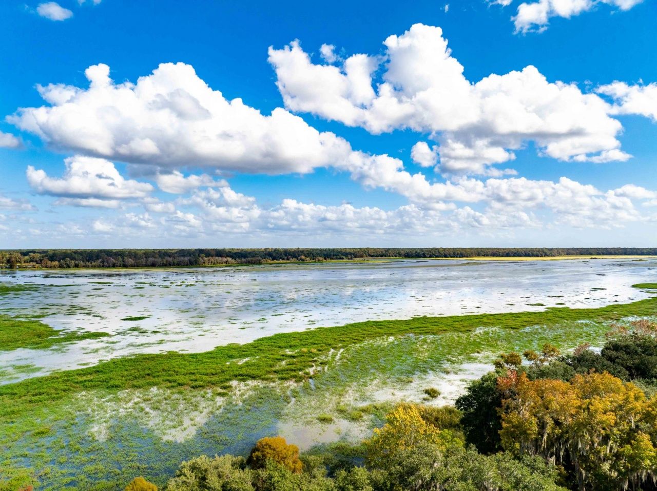 0 Point Comfort Photo 26