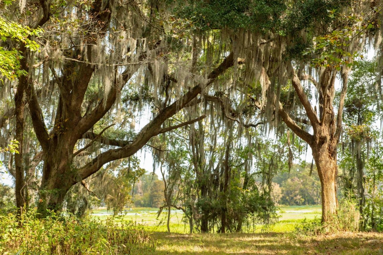 0 Point Comfort Photo 30