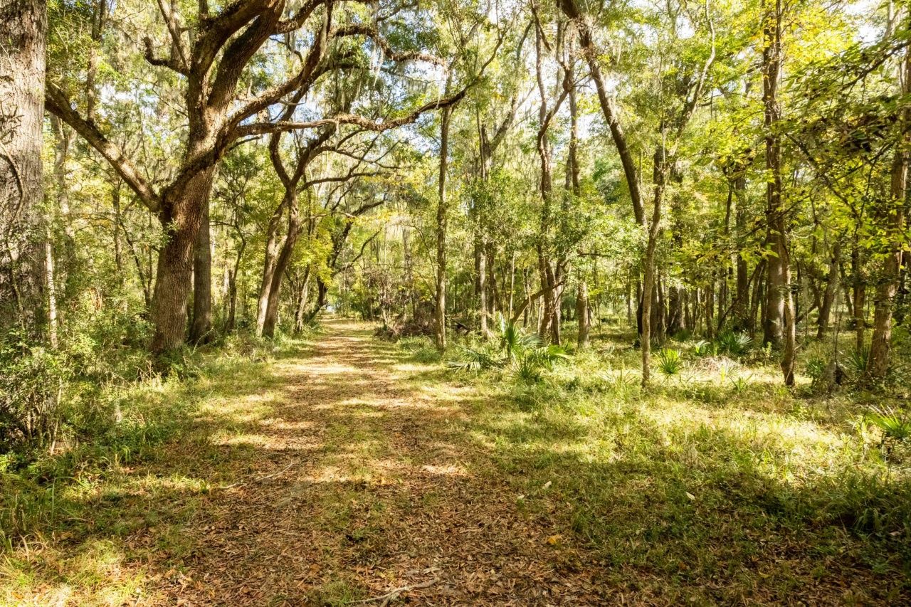 0 Point Comfort Photo 34