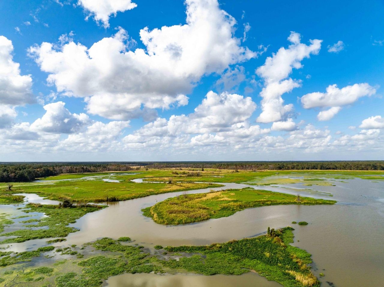 0 Point Comfort Photo 35