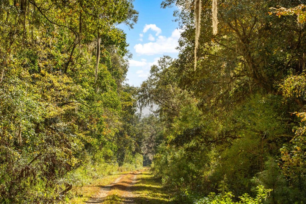 0 Point Comfort Photo 37