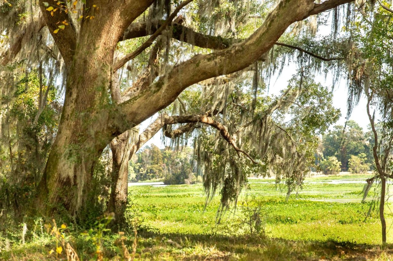 0 Point Comfort Photo 38