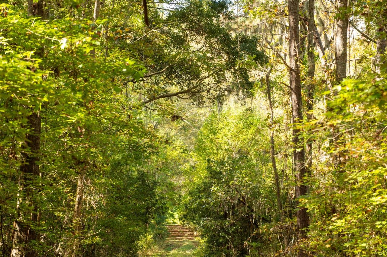 0 Point Comfort Photo 39