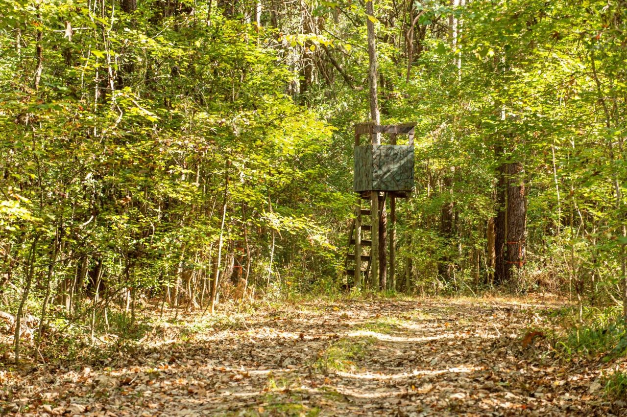 0 Point Comfort Photo 40