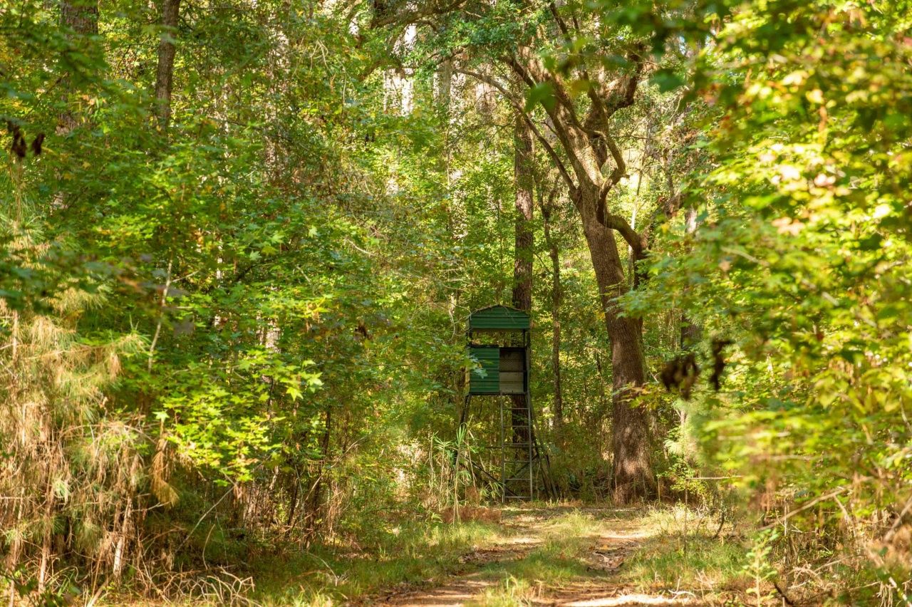 0 Point Comfort Photo 41