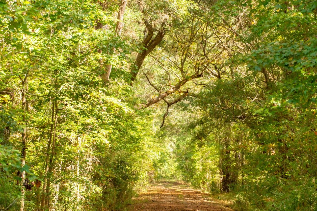 0 Point Comfort Photo 42