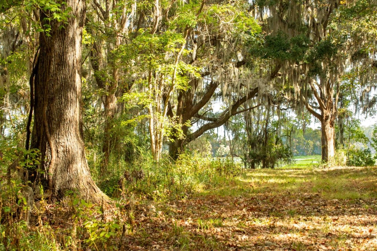 0 Point Comfort Photo 44