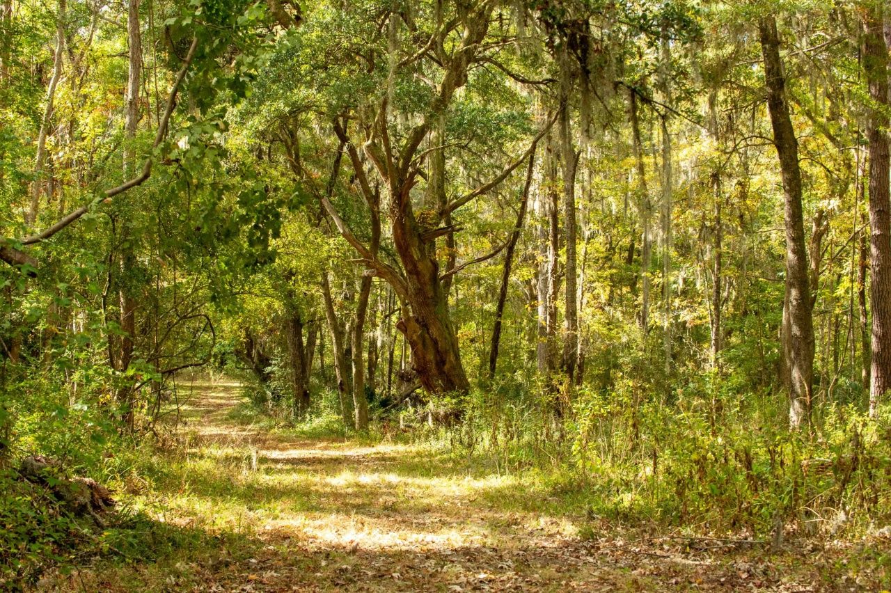 0 Point Comfort Photo 45