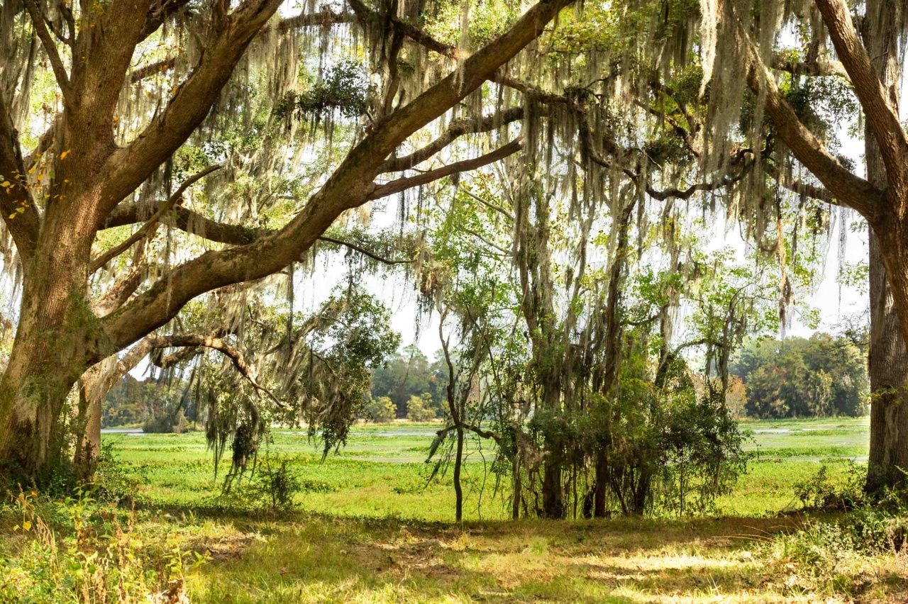 0 Point Comfort Photo 46