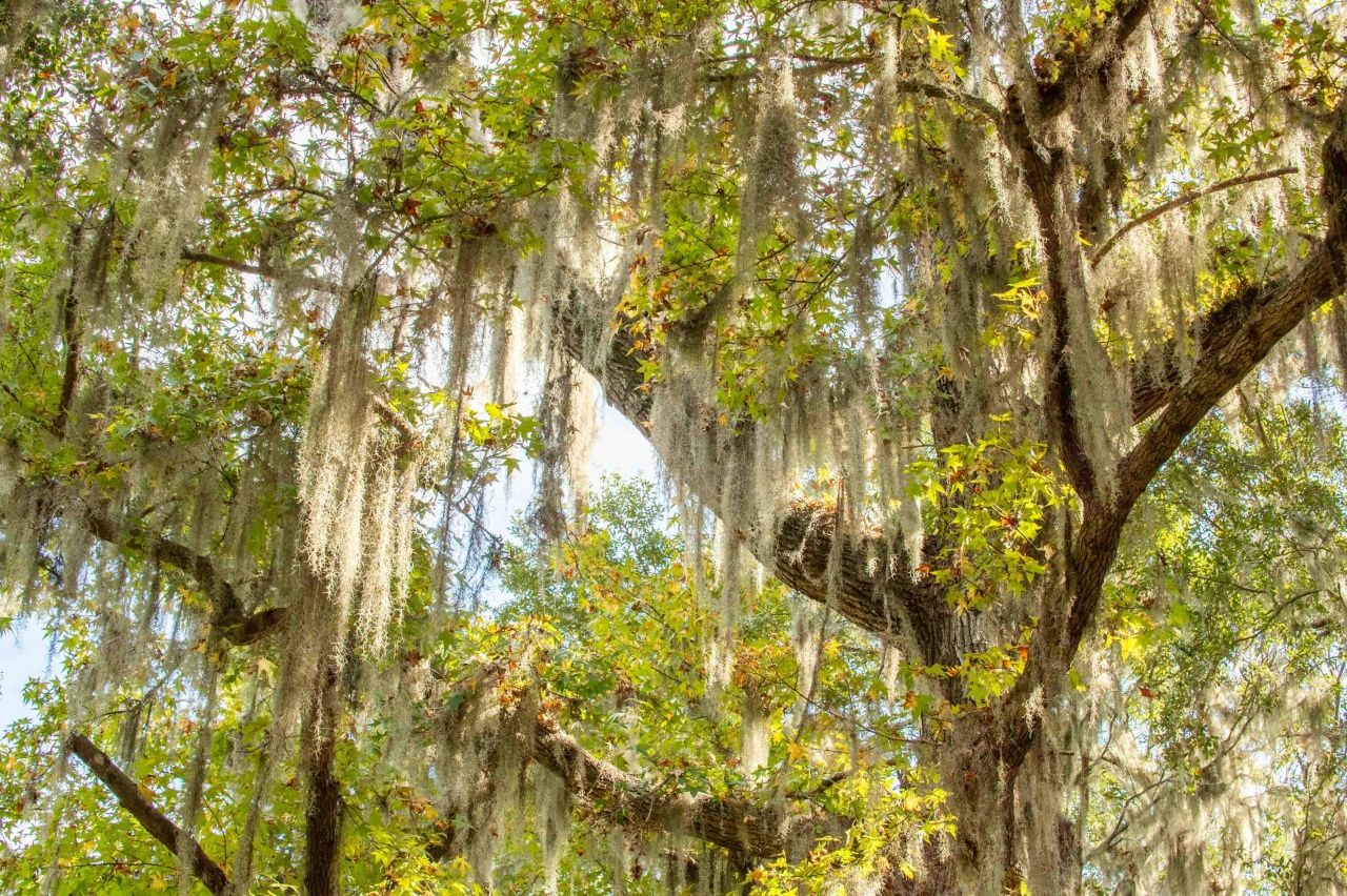 0 Point Comfort Photo 47