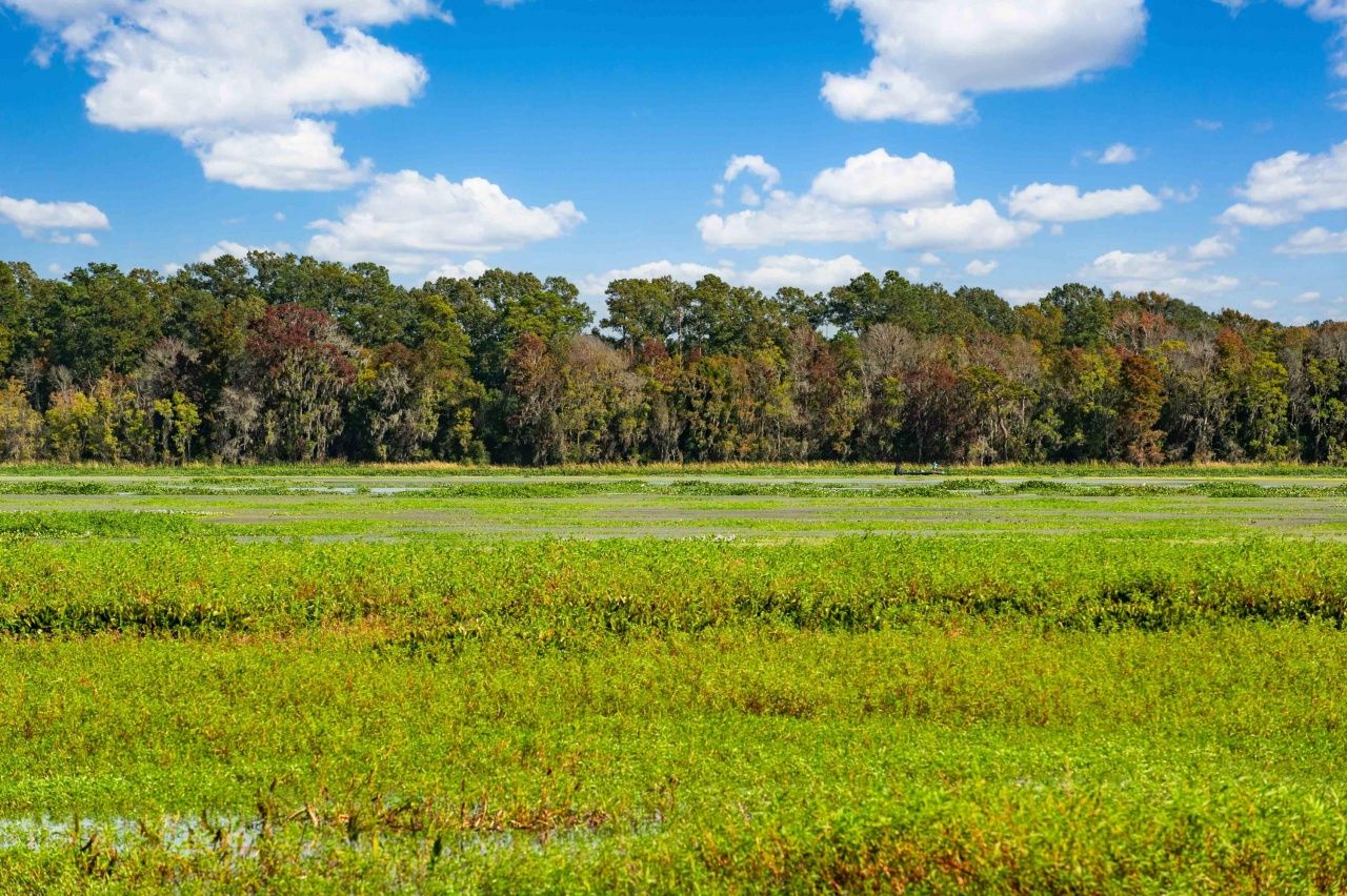 0 Point Comfort Photo 48