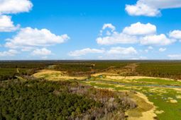 0 Point Comfort photo 4