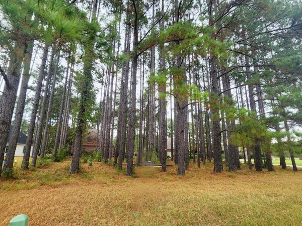 0 Pins Court, Natchez, MS 39120