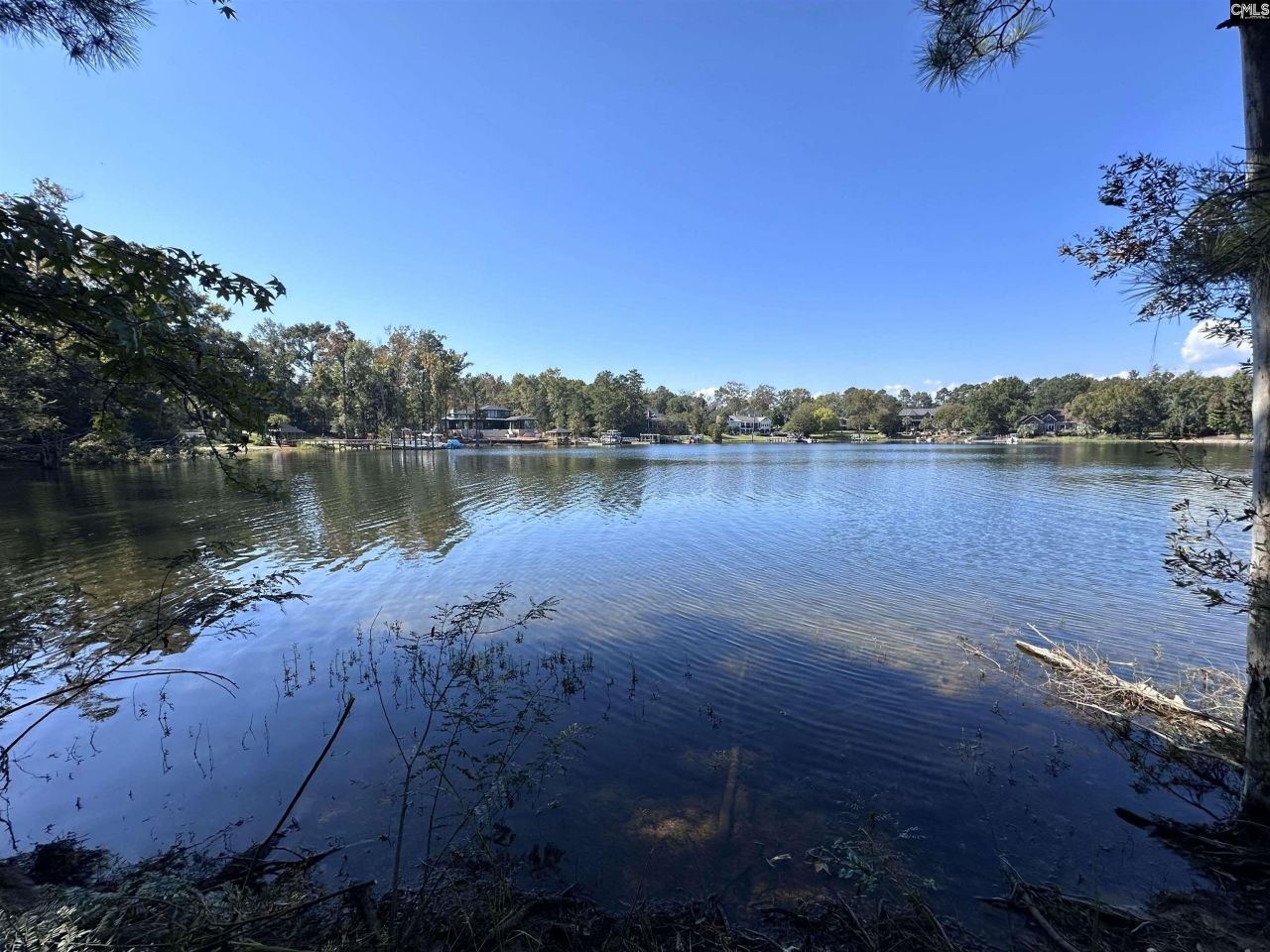 156 Spence Shore Court Photo 8