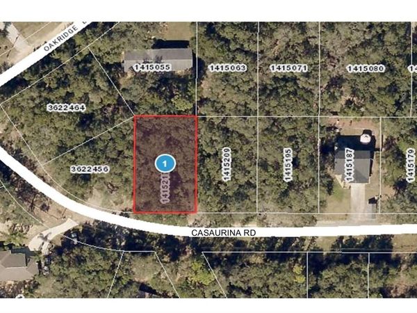 CASAURINA ROAD, LADY LAKE, FL 32159