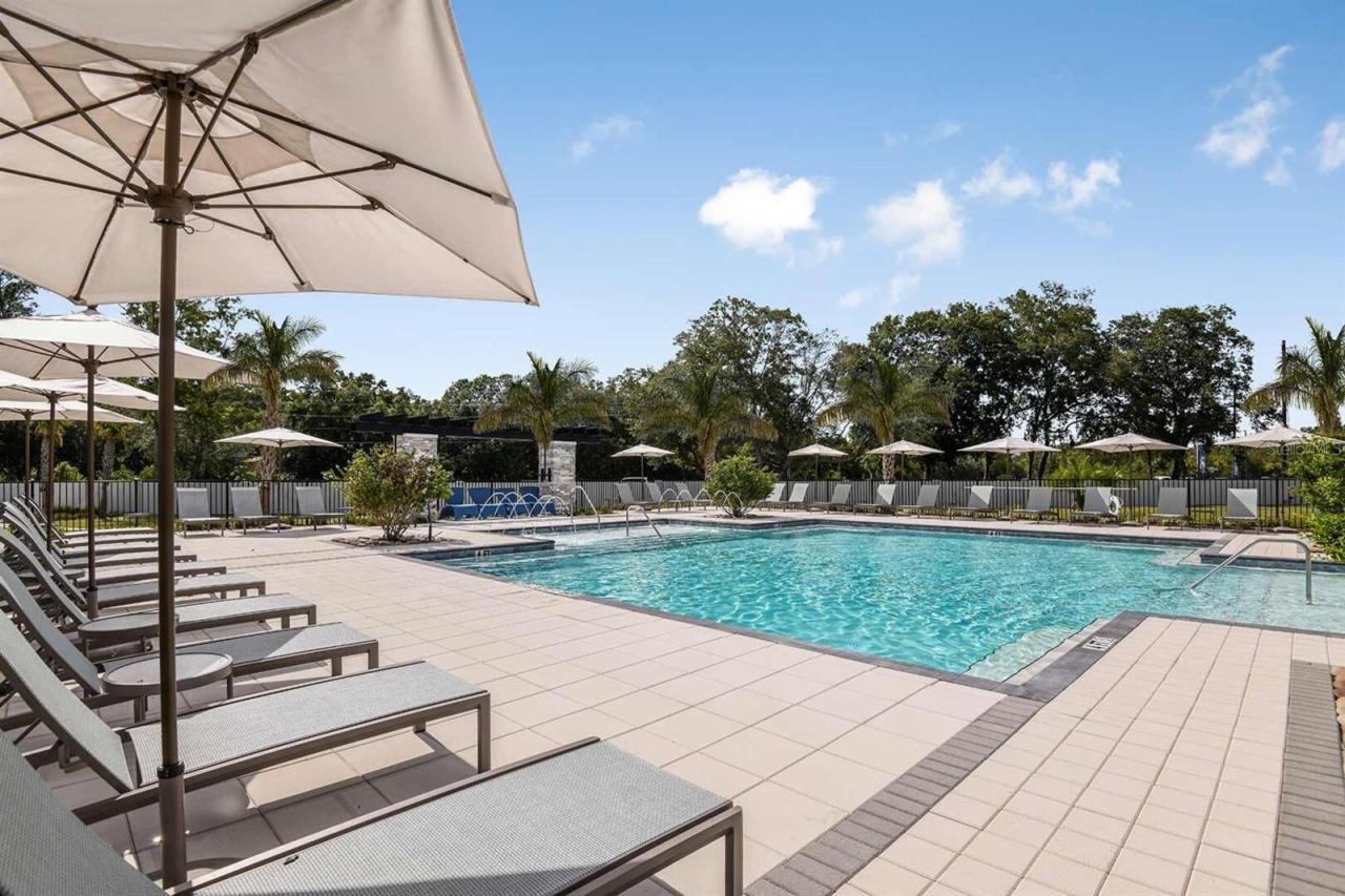 4351 Cloud Hopper Way, Lutz, FL 33559 Photo