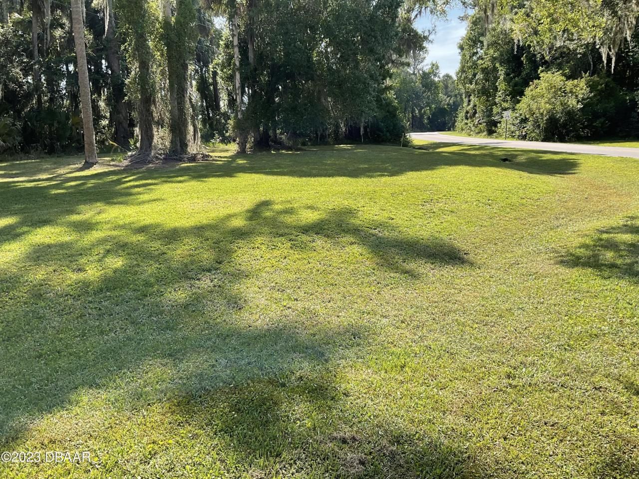 1604 Bass Avenue, Seville, FL 32190 Photo