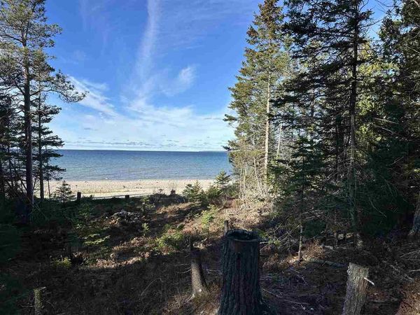 32010 Mrs. Redding's Trail, Beaver Island, MI 49782