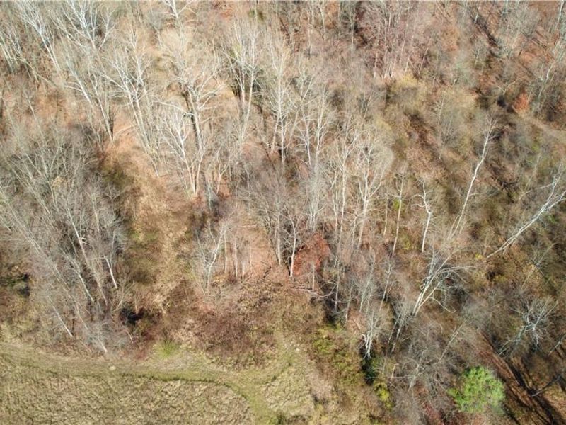 2043 Southern Road, Norwich, OH 43767 Photo 12