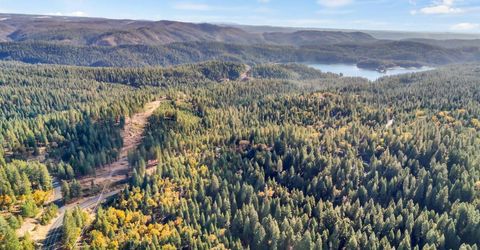 6922 Ridgeway Dr, Pollock Pines, CA 95726 Photo