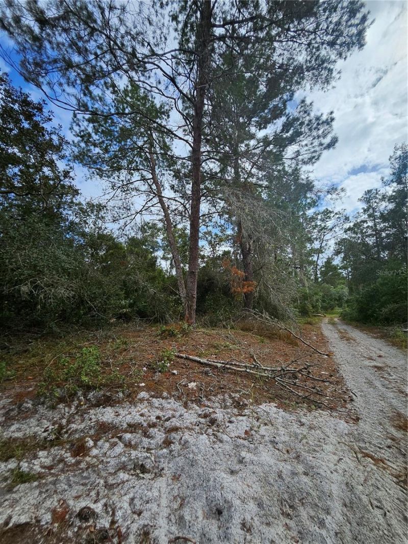 Please Call For Address, Deltona, FL 32738 Photo