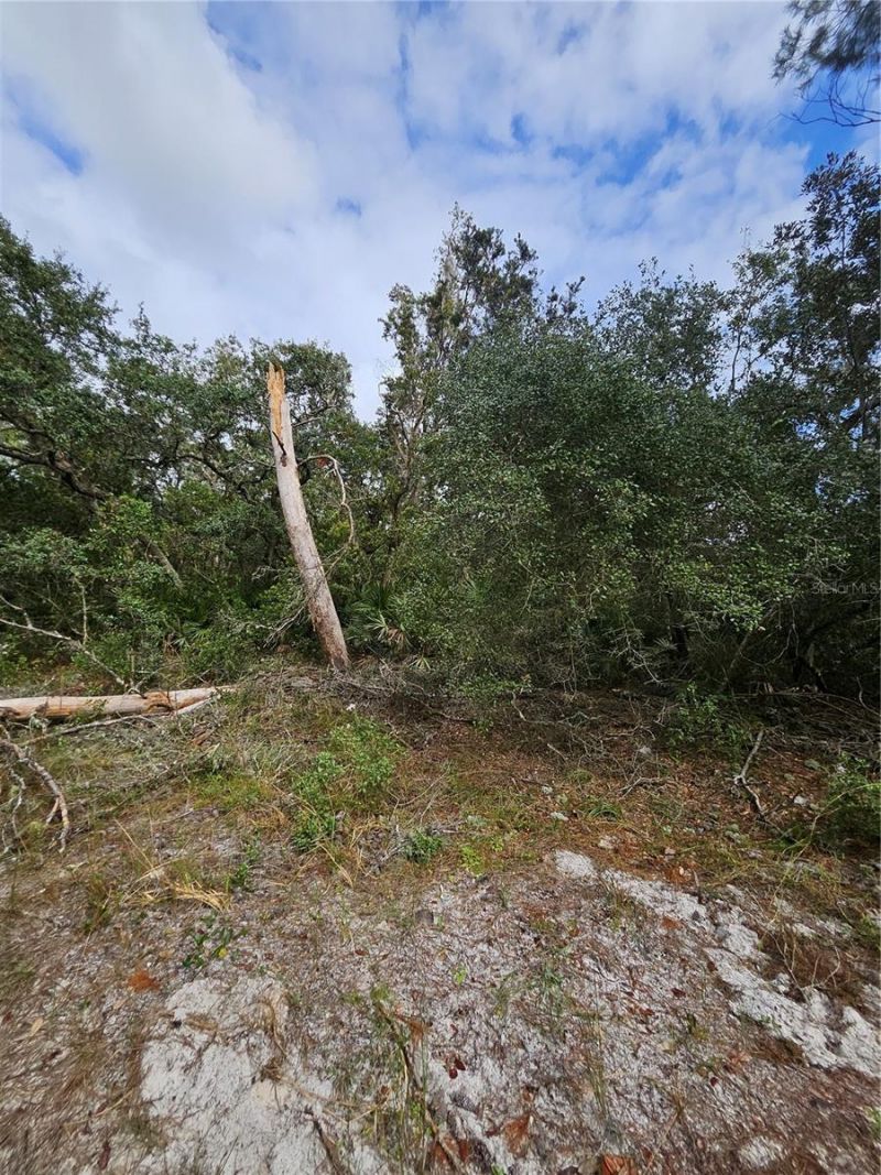 Please Call For Address, Deltona, FL 32738 Photo