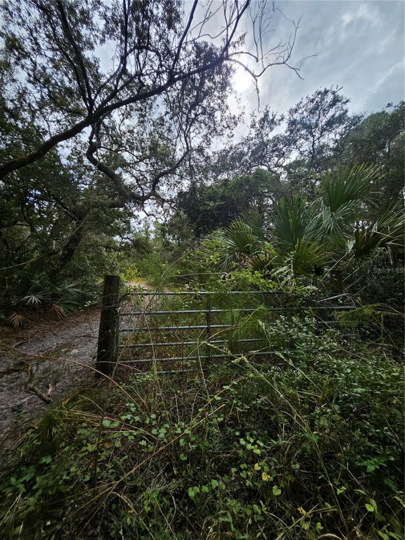 Please Call For Address, Deltona, FL 32738 Photo