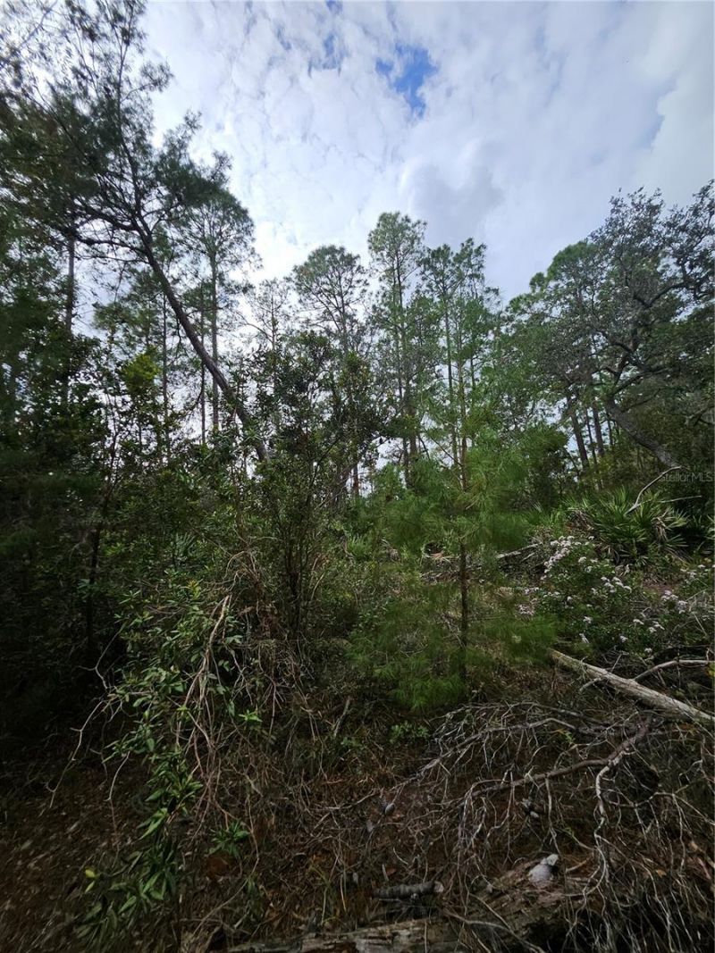 Please Call For Address, Deltona, FL 32738 Photo