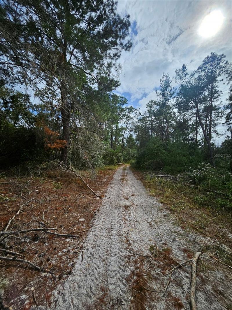 Please Call For Address, Deltona, FL 32738 Photo