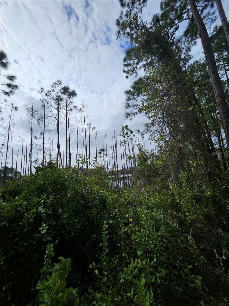 Please Call For Address, Deltona, FL 32738 Photo