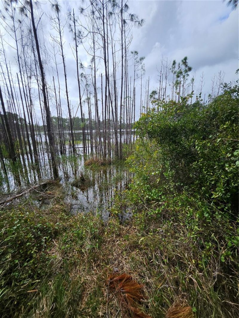 Please Call For Address, Deltona, FL 32738 Photo