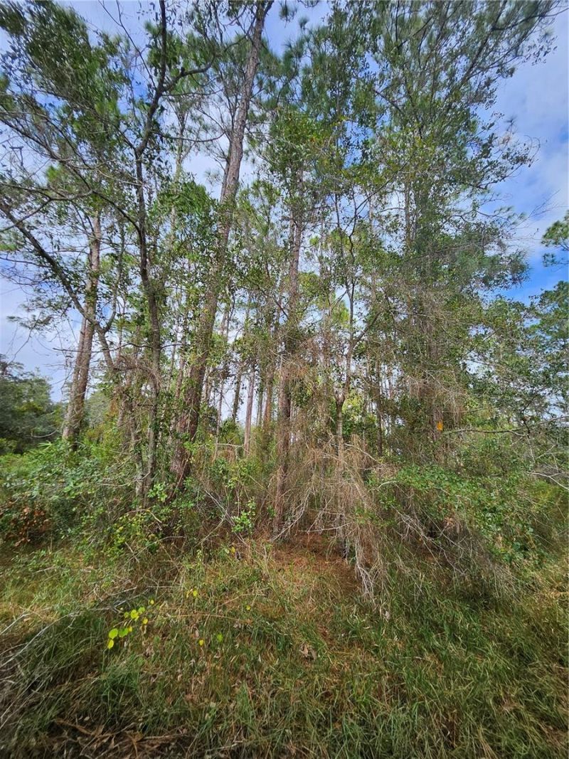 Please Call For Address, Deltona, FL 32738 Photo