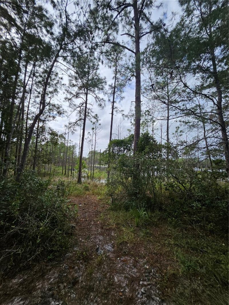 Please Call For Address, Deltona, FL 32738 Photo